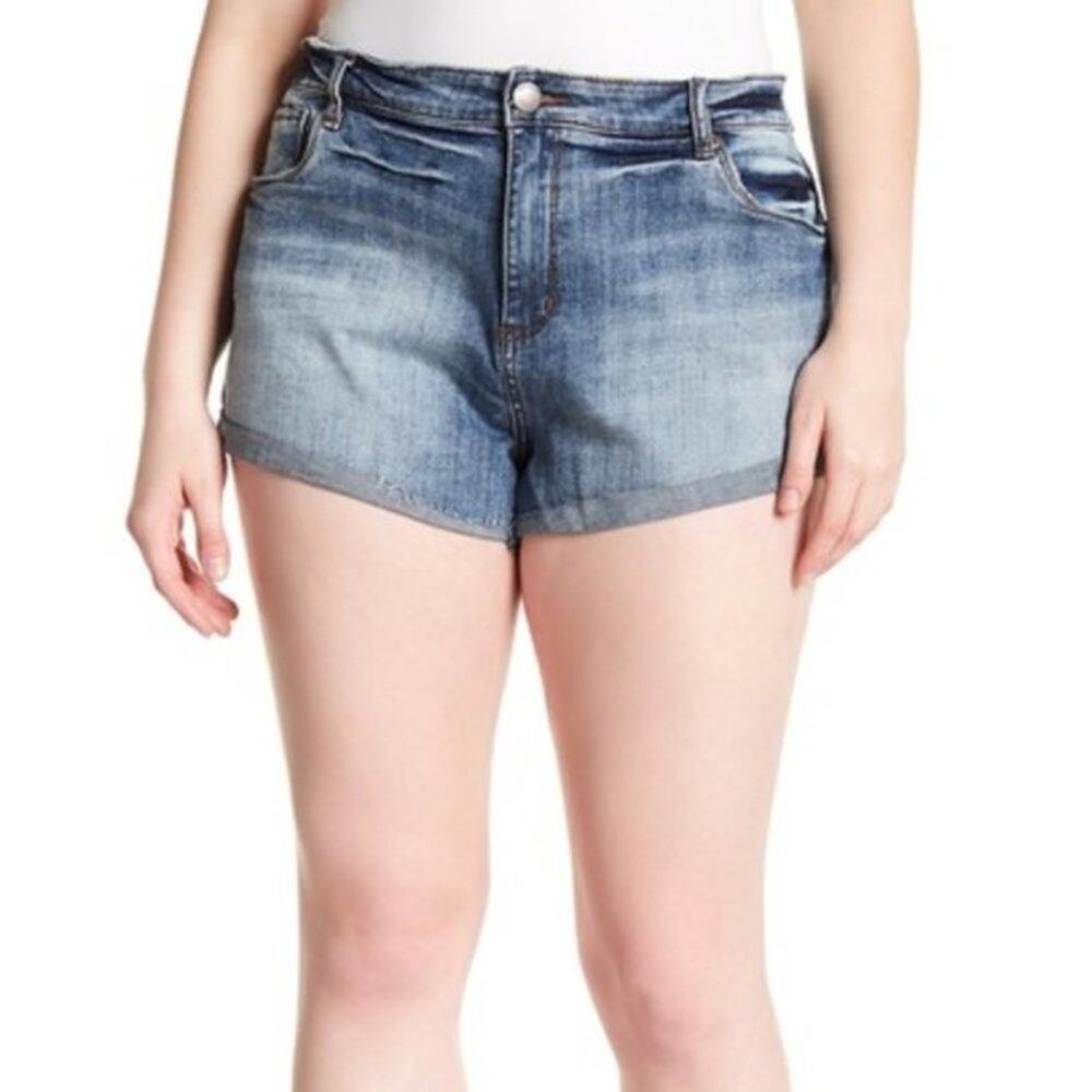 STS BLUE‎ Double Roll High-Rise Denim Shorts